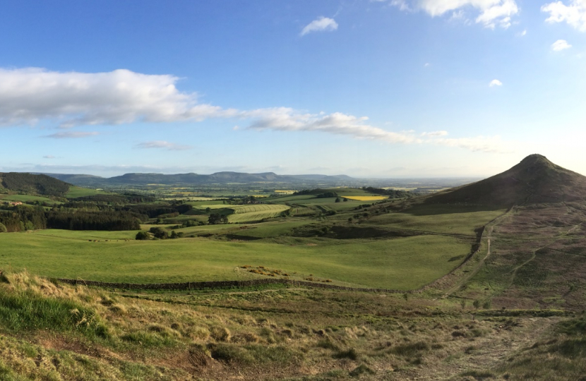 Roseberry Topping